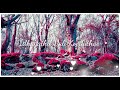 Inge Udal Anke Uyir Whatsapp Status Unnai Ippa Paakkanum Zhan MusiQ