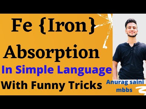 Iron Absorption,Transport, Metabolism and Regulation .@AnuragSainiMBBS