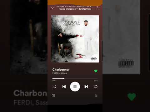Sasso ft. FERDI - Charbonner