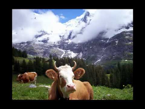 Berner Oberland Anthem (Vogellisi)