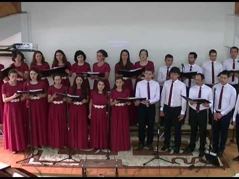 14. SPRE CERURI ALERGATI