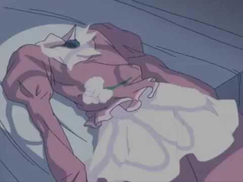 Romeo X Juliet AMV - Chasing Cars