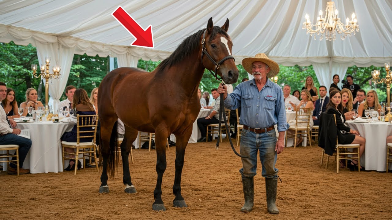 Ignored at a millionaire's auction, a horse ends up with a poor old man—what happens next stuns all
