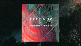 Porcupine Tree - Sentimental ( Nepomuk Remix )
