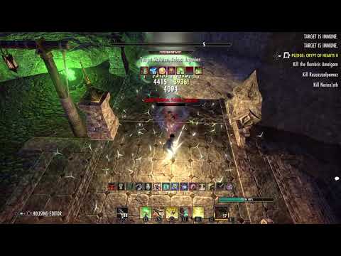 Stamina Templar - 39k DPS Test 6M Dummy - Elder Scrolls Online - Murkmire Patch