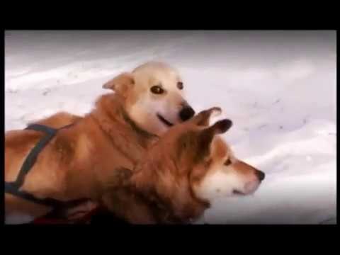 William Hawk - Return To Innocence (Mario Lopez meets Tommy Gant Remix) (Official Video)