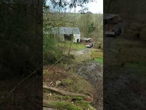 Tree Tech Arb & Forestry Services Ltd video.