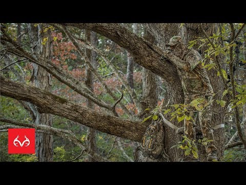 How to Hunt Big Woods Whitetail Deer