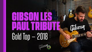 Video thumbnail for Gibson Les Paul Tribute 2018 (Gold Top) by Alexandre Fagundes