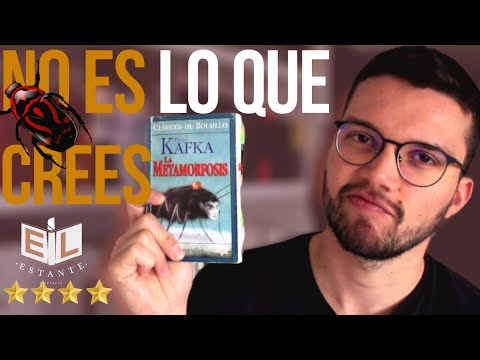 ¿De qué trata realmente La metamorfosis de Franz Kafka? 🐜