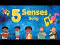 Learning The Five Senses Silly School Songs EDUCATIONAL