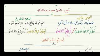 الآجرومية ( المفعول الذي لم يسم فاعله) 13 image