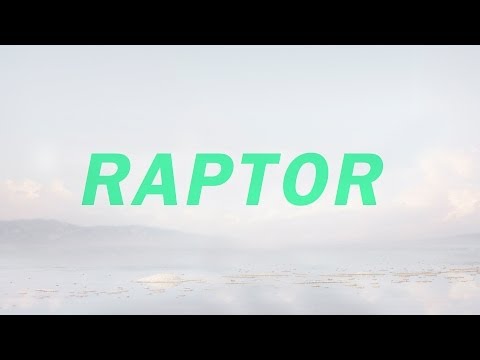 Raptor