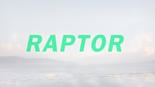 Raptor