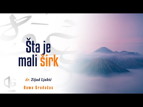 ŠTA JE MALI ŠIRK - dr. Zijad Ljakić