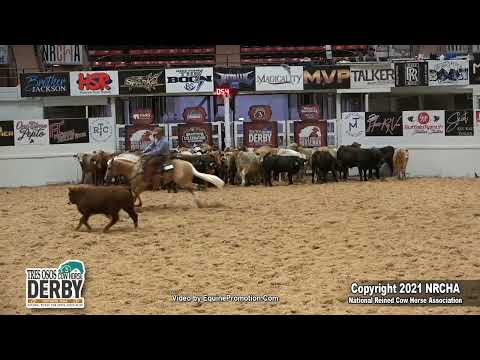 SJR Talkin Diamonds shown by Corey D Cushing - 2022 Celebration of Champions - Open Derby, Herd