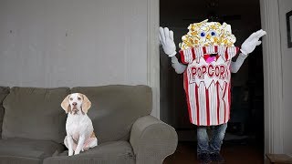 Funny Dog vs Giant Popcorn Man Prank: Funny Dog Maymo by Maymo