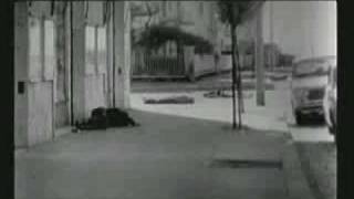 The Last Man On Earth