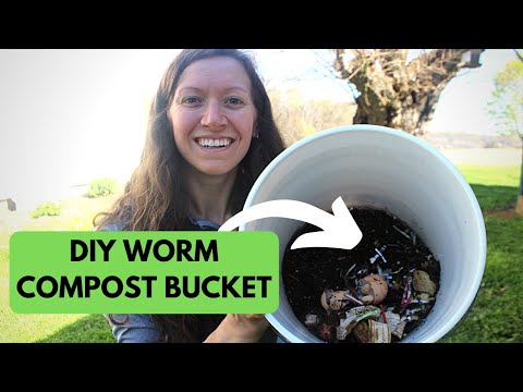 DIY Worm Compost Bin for FREE