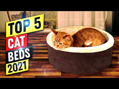 Best Cat Bed 2022 | Top 5 Cat Beds