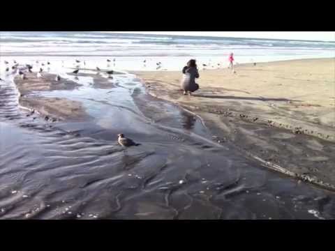 Swami's Beach Walk, Encinitas, CA, New Year's Eve