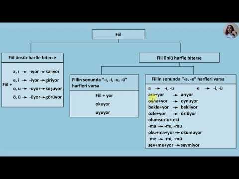 Present Continuous Tense in Turkish