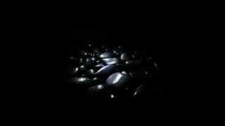 Lawrence English- Trio For Objects