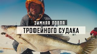 Ловля окуня зимой на водохранилищах