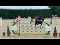 Hongre de Grand Prix