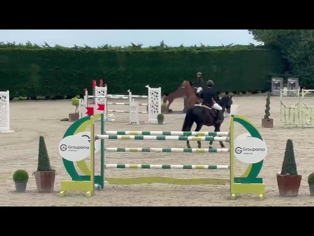 Hongre de Grand Prix 