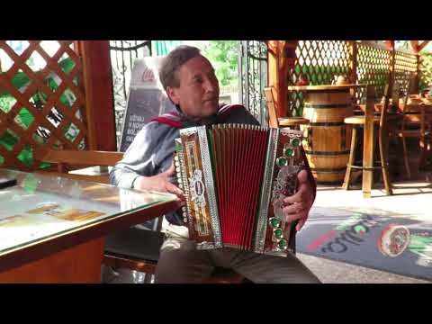 Branko Mešl - Pa spet bom vzel harmoniko (v živo)