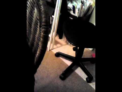 ACNL Birthday Party Part 1