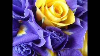 Lynn Anderson - Top Of The World