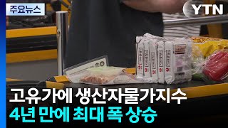 고유가에 생산자물가지수 4년 만에 최대 폭 상승...소비자물가도 상방 압력 / YTN