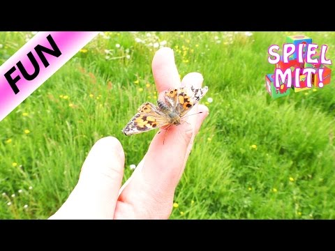 Gel-Balsam für die Gelenke mit Bienengift Wunden rechten Seite gibt monatlich den Rücken