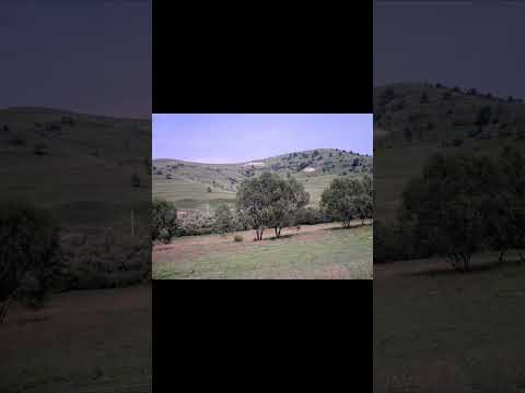 Soimusu Mare , Bezid și Sângeorzul de Pădure