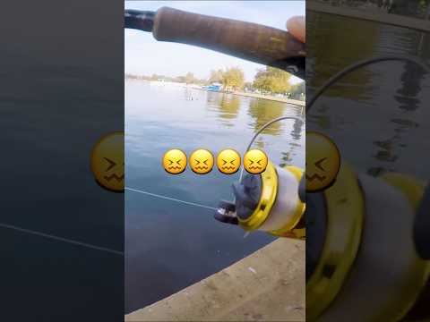 OMG this $3 Spinning Reel 😂