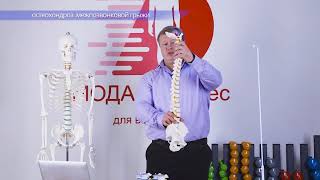 Остеохондроз, грыжи