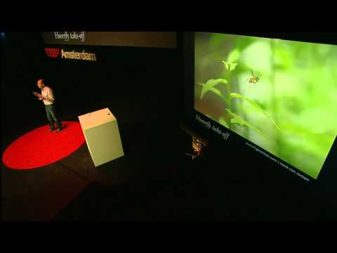 TEDxAmsterdam 2011 - David Lentink