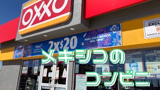 【なんでもない1日】食材がない絶望的な日Vlog/メキシコのコンビニ紹介/メキシコ田舎暮らし