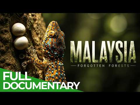Forgotten Forests of Malaysia