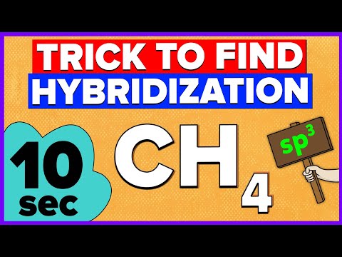 How to calculate Hybridization? Easy Trick