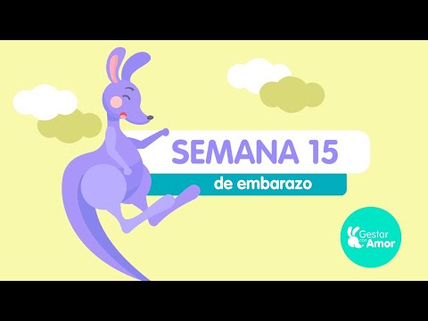Semana 15 de embarazo: ¡Empieza tu rutina de ejercicio!