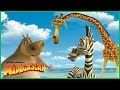 Naufragando Em Madagascar ️ DreamWorks Madagascar Em Português