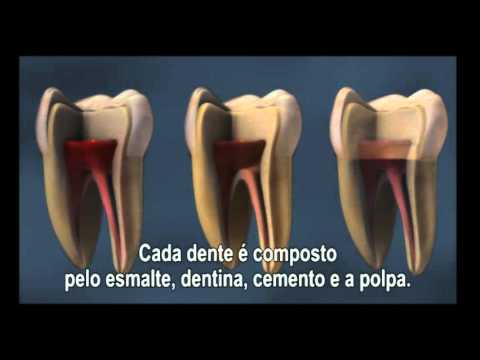 Saúde Bucal - Estrutura Dental