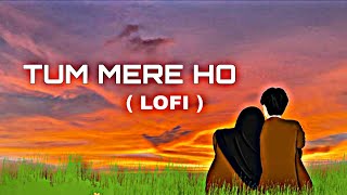 Tum Mere Ho - Lofi (Slowed + Reverb) | Jubin Nautiyal | Hate Story IV | Lofi Song