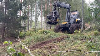 Ponsse Ergo procesadora forestal | Imagen 4 - Agroline