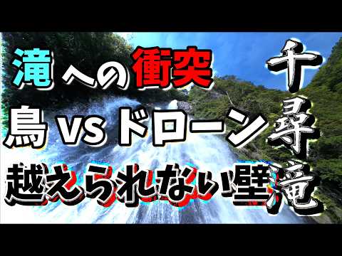 【究極飛行】を見た！　ー 越えられない壁 ー　ドローン空撮　千尋滝