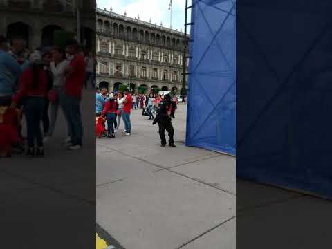 La creatividad del Mexicano visita el zócalo o ve a Coyoacán se pone también bueno mañana