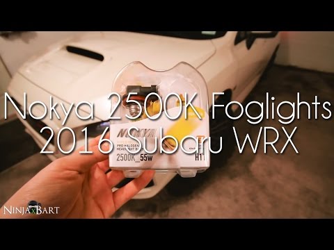 Nokya 2500K H11 Foglights (2016 Subaru WRX)